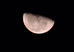 11/13上弦の月