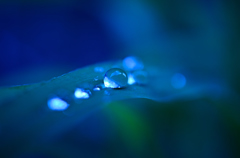 雨上がり