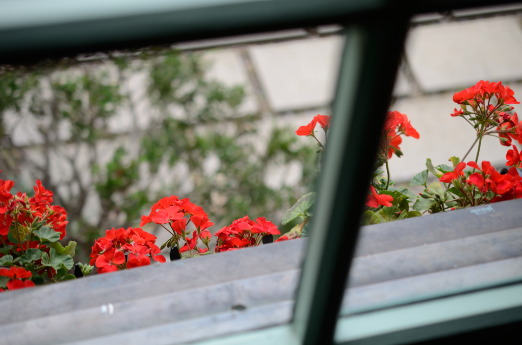 DSC_00146