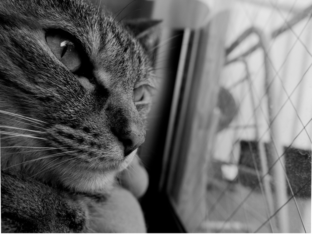what. . .looking at