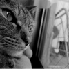 what. . .looking at