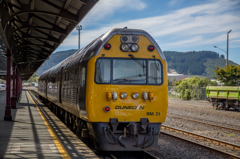 Taieri Gorge Railway #2