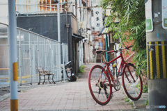 路地