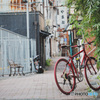 路地