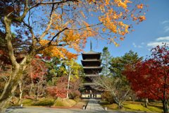 仁和寺