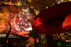 有馬　瑞宝寺公園