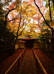 大徳寺　高桐院