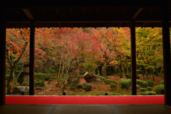 圓光寺