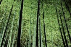 青蓮院門跡