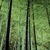 青蓮院門跡
