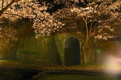 敦盛桜