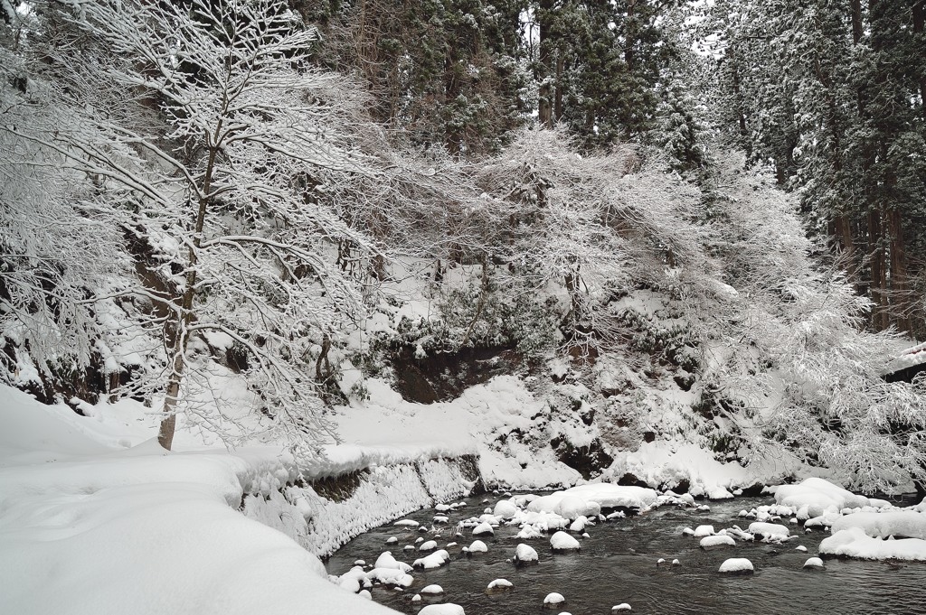 雪化粧