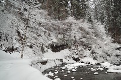 雪化粧