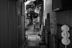大通りの脇にも