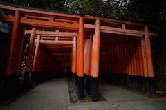 鳥居の奥は...