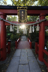 良い場所に太陽