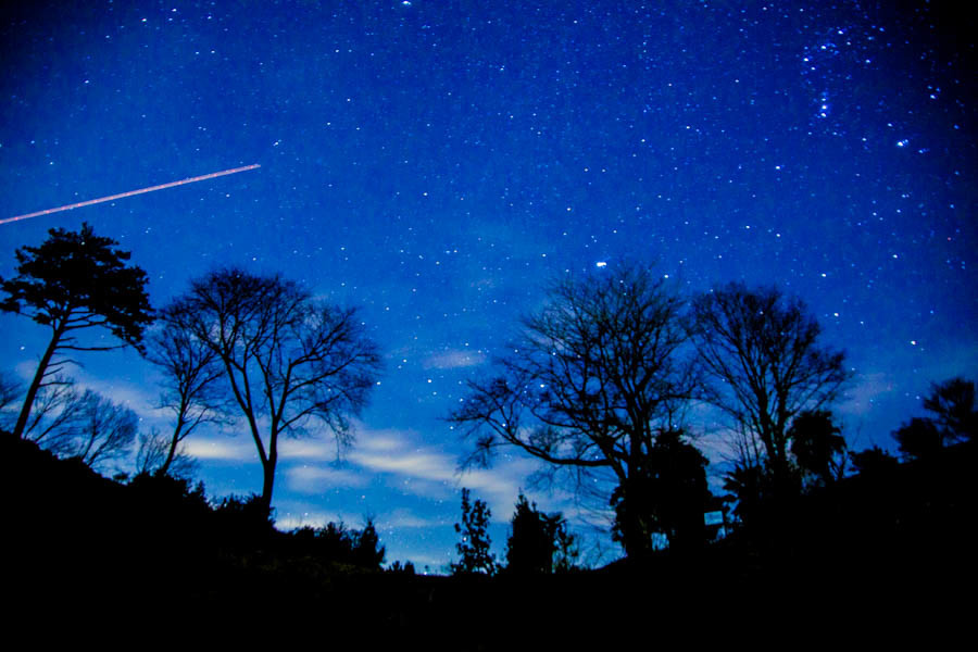一等星になれなかった君へ