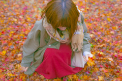 紅葉の絨毯　