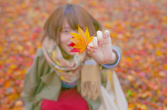ねぇ、みてみて