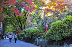 紅葉を楽しむ人々