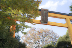 氷川神社