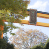氷川神社