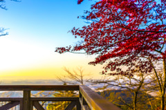 地平成の覗く