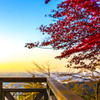 地平成の覗く