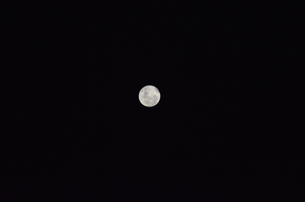DSC_0049