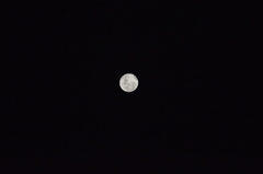 DSC_0049