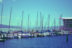 DSC_0310_1