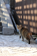 お帰りです！