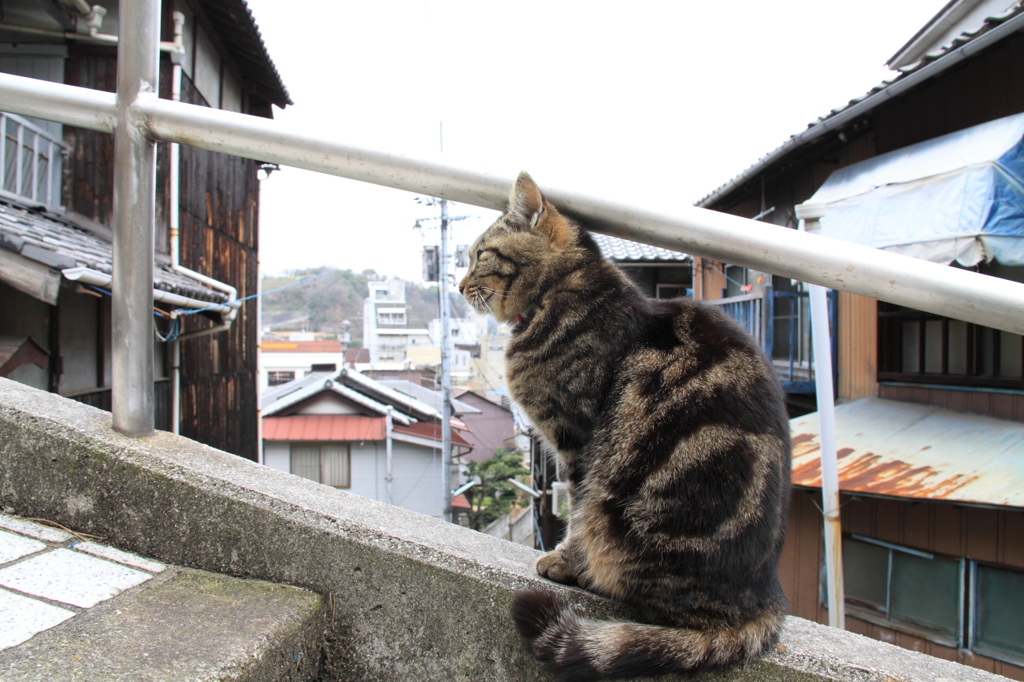 はまってます！