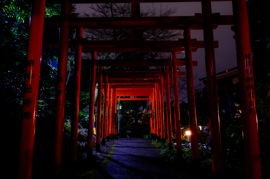 闇夜に続く鳥居