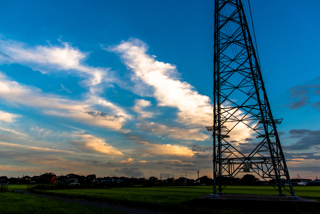 初夏の雲