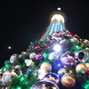 スカイツリーとクリスマスツリー２