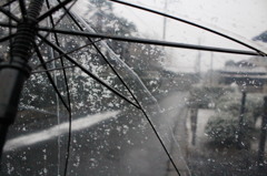 傘と雪
