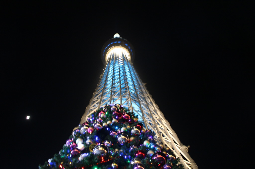 ツカイツリーとクリスマスツリー