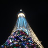 ツカイツリーとクリスマスツリー