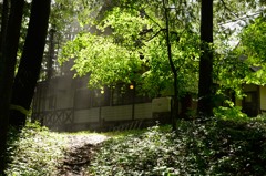 夏の思い出　開田高原（１）