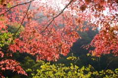 中宮レストハウス