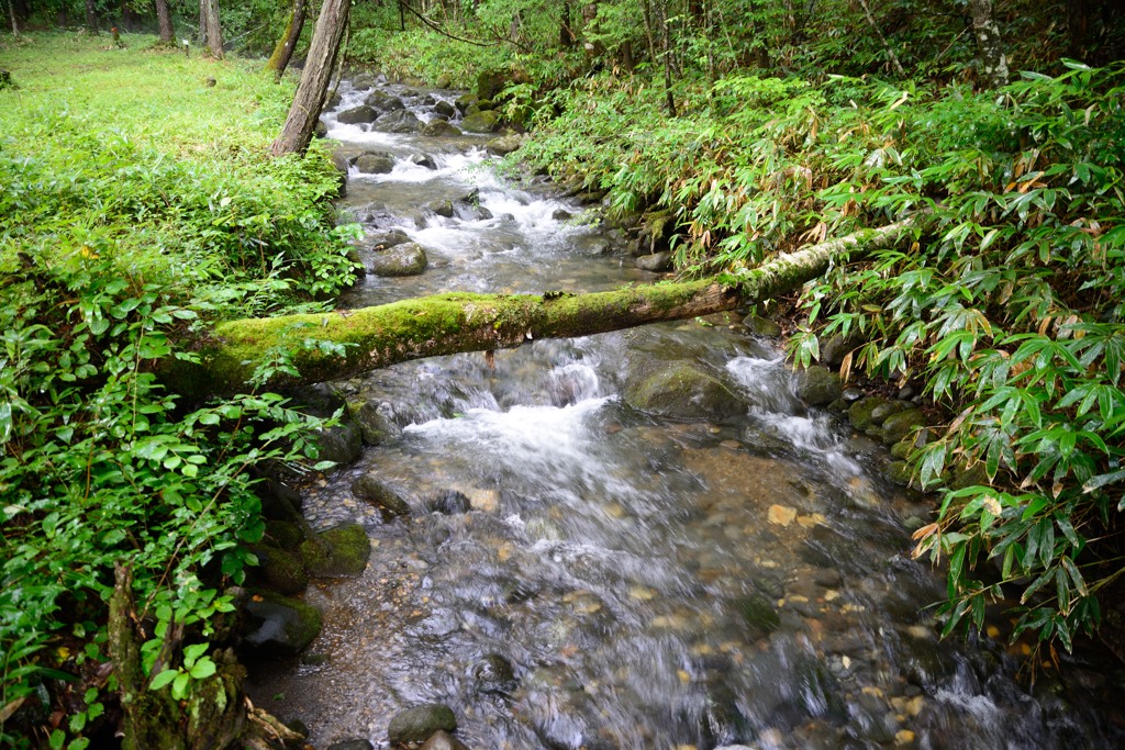 夏の思い出　開田高原（２）