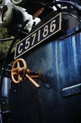 C57186