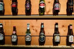  Beer Beer Beer