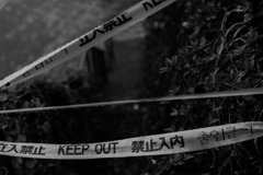 好奇心 －禁じられてこそ