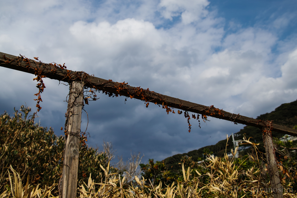 あの空に伝う、過ぎた季節の思い出
