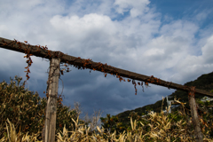あの空に伝う、過ぎた季節の思い出