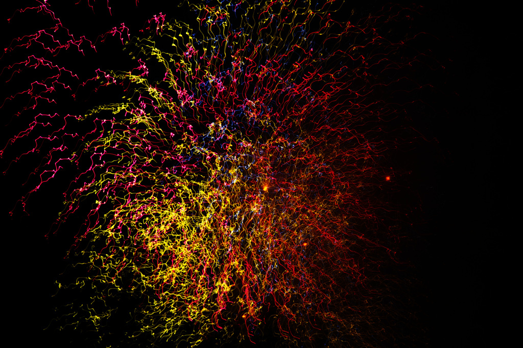 Fireworks －遺伝子－