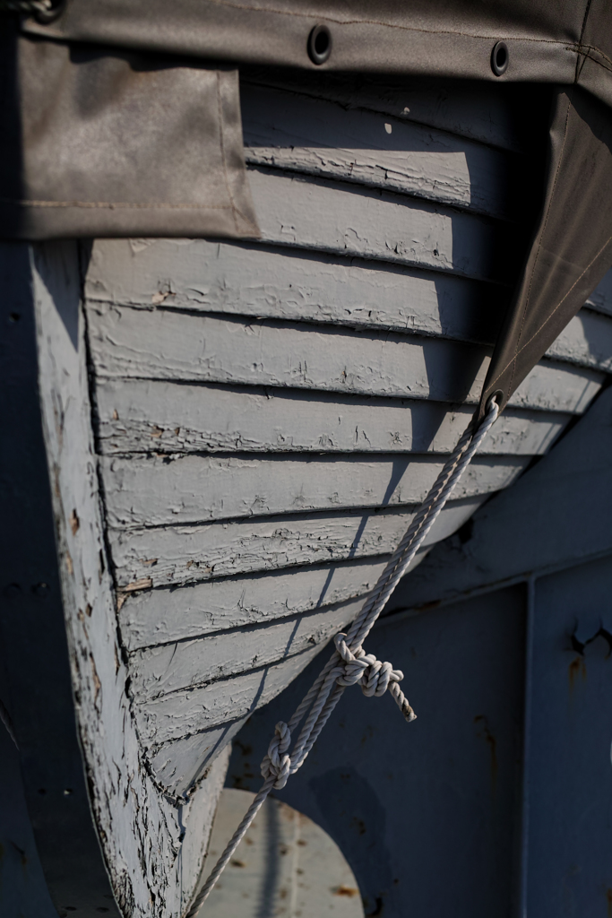 後悔する航海を公開