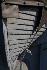 後悔する航海を公開